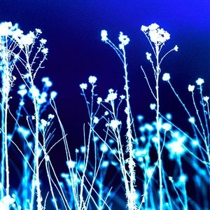 🦋RESERVED🦋 @luv4harvey Label 2 of 2 updated for upgraded shipping due 2 weight